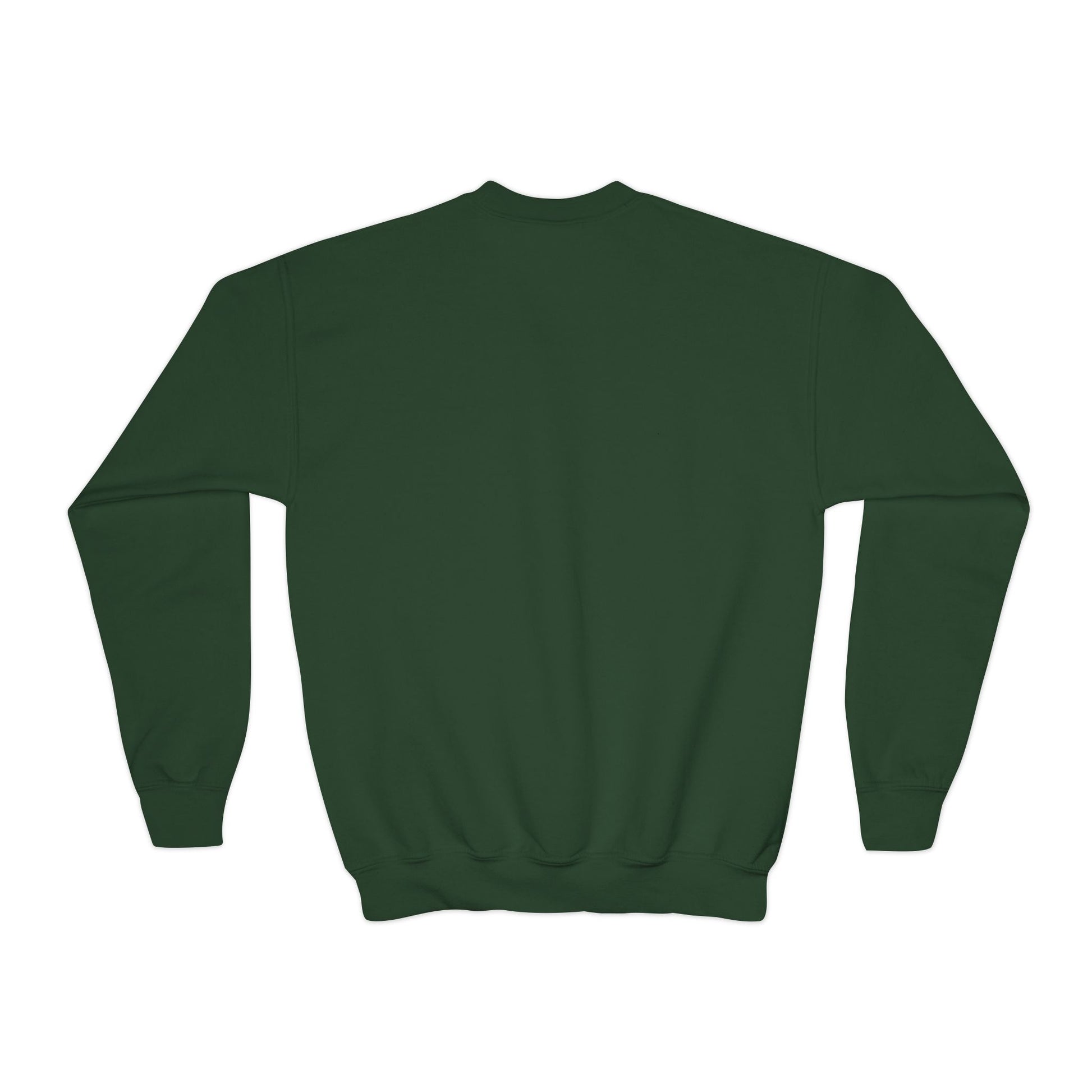 Against Oppression – Muharram & Arbaeen Edition | Unisex Youth Crewneck Sweatshirt