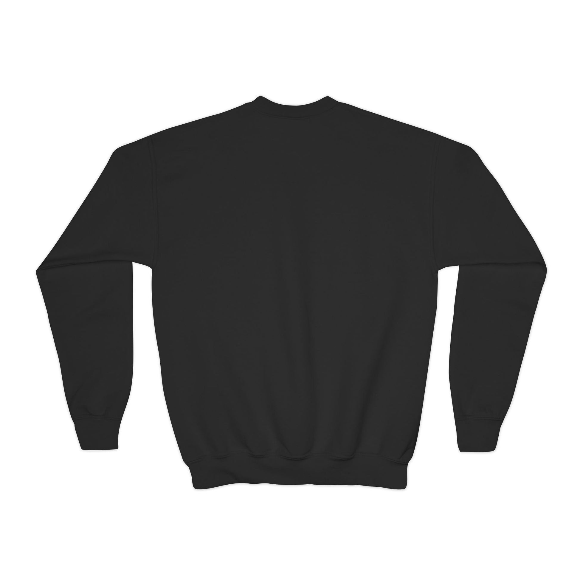 “The Love of Hussain (AS) Unites Us All” – Muharram & Arbaeen Edition | Unisex Youth Crewneck Sweatshirt